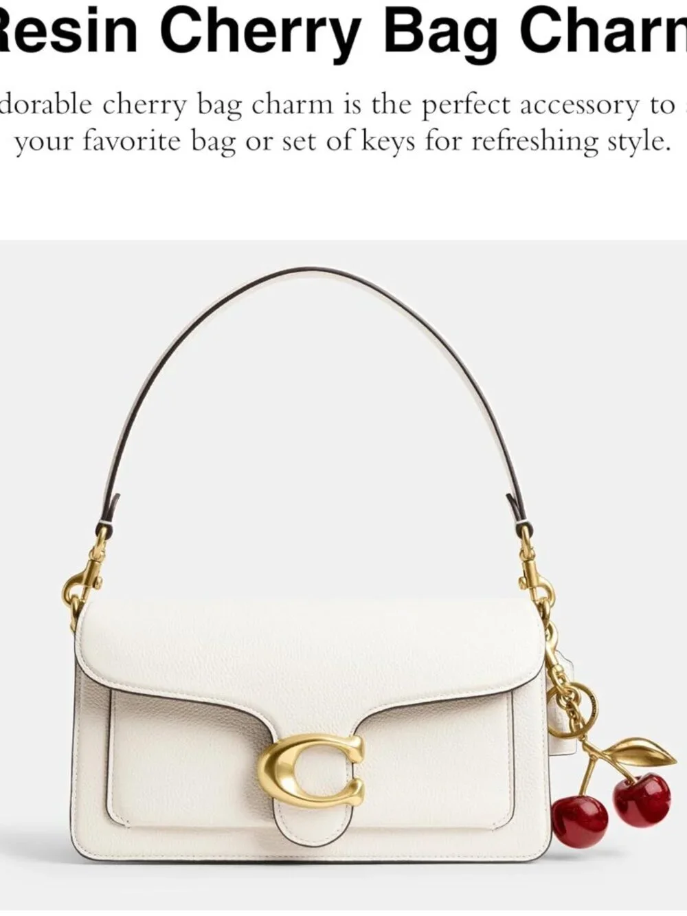 Bag Charm